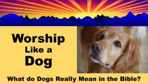 Bible Dogs: Worship like a Dog - What Dogs Really Mean in the Bible